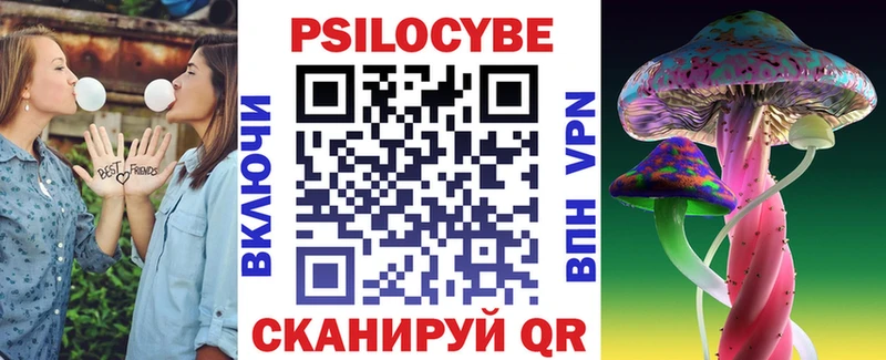 Галлюциногенные грибы Psilocybe  Колпашево 